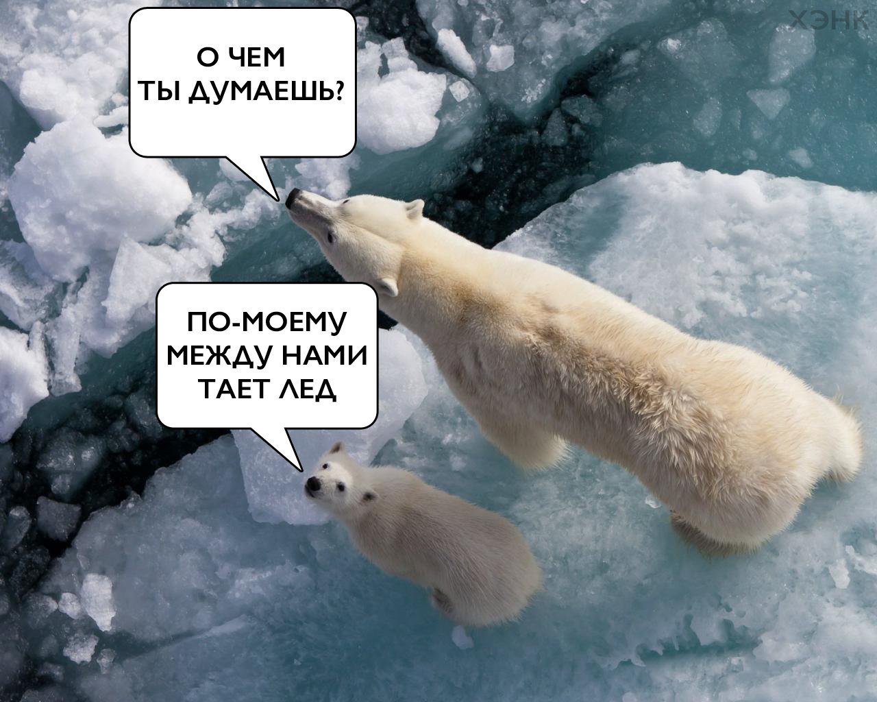 Детям, между нами тает лед картинки прикол