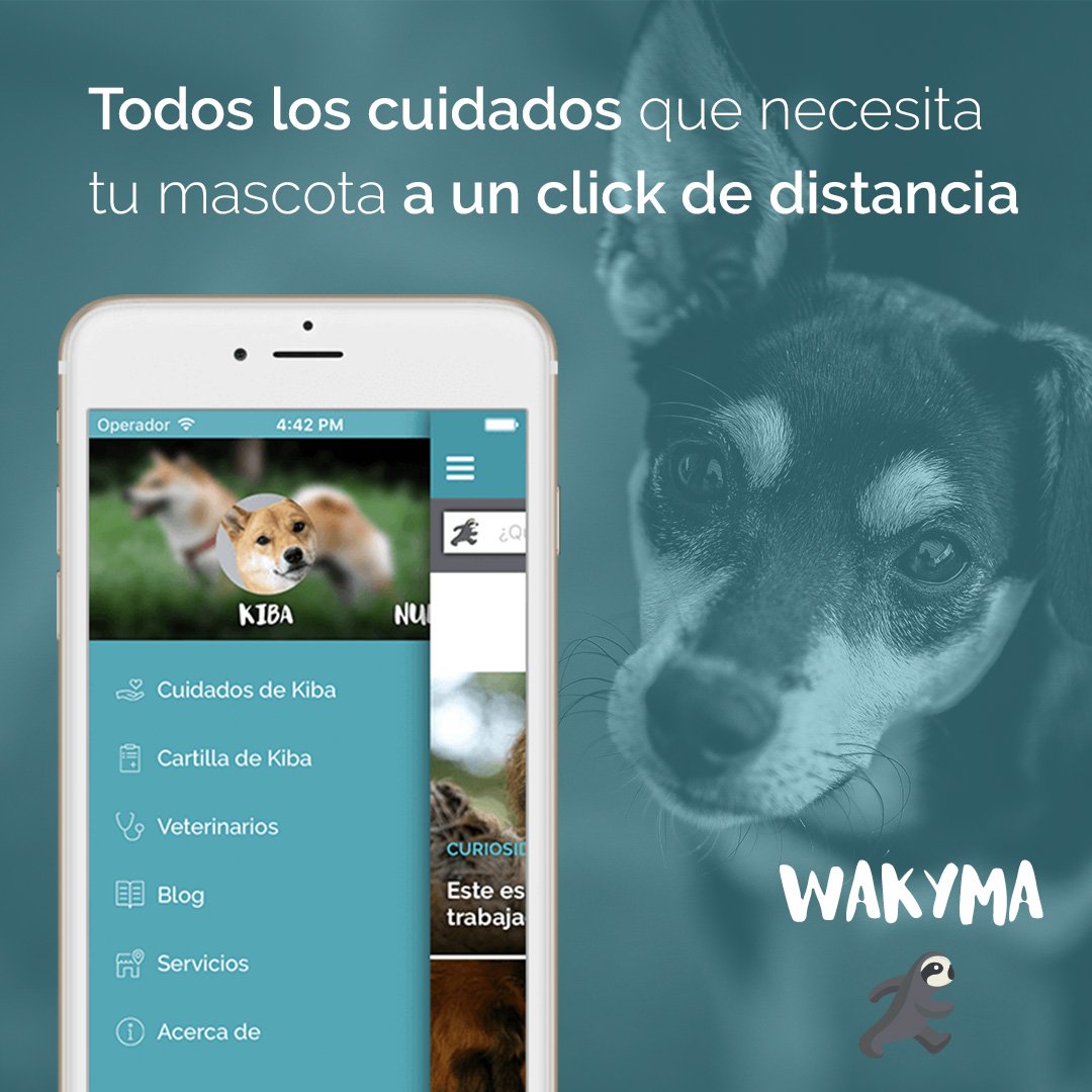 Traemos buenas noticias, wakymeros... ¡Ya queda menos! 👏🐶 Para saber más entra en wakyma.com