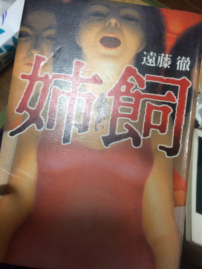 ふみ 姉飼って本の紹介文見て面白そうだなーって図書館行って借りてきたら表紙が思ったよりも怖かった 笑 ふみ 姉飼って本の紹介文見て面白そうだなーって図書館行って借りてきたら表紙が思ったよりも怖かった 笑