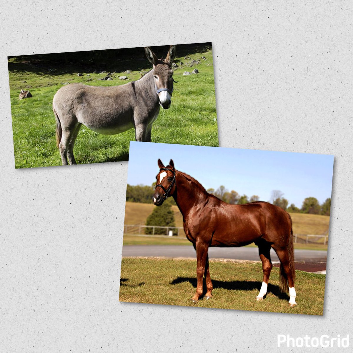 Derek Jones tweet media