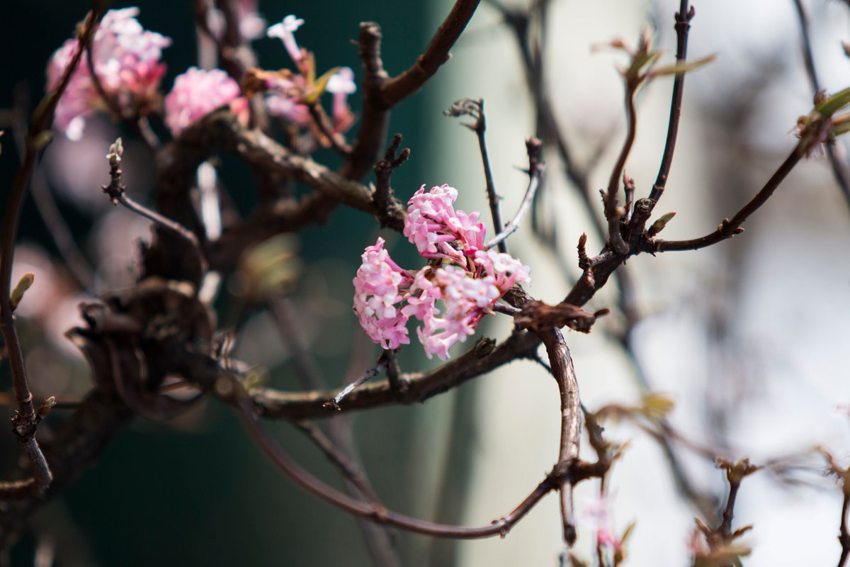 southkesteven's tweet photo. Tweet us your spring pics from around the district! 🌼#SpringSK @Mercury1712 @GranthamJournal @SuperStamford https://t.co/uqdUEAxF3g