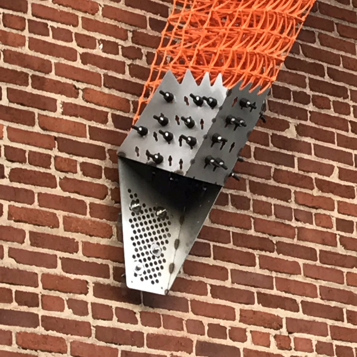 Jason Young tweet media