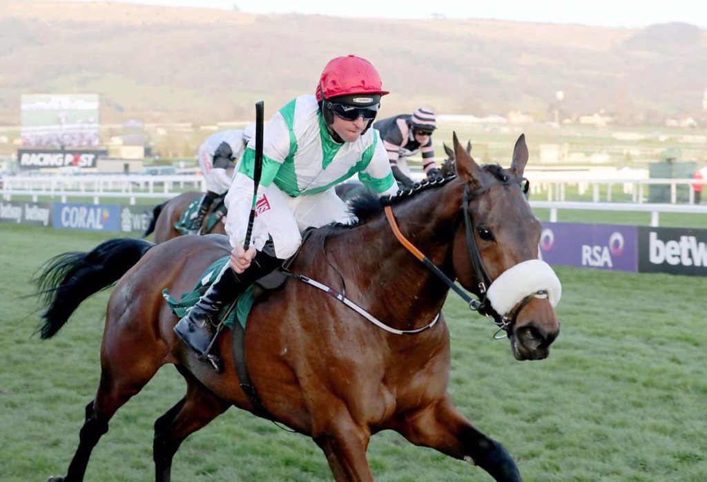 3furlongsout's tweet image. Jamie Codd's ride on Fayonagh at the #CheltenhamFestival was definitely one of the best tactical rides I have ever seen. #LastToFirst 🐴