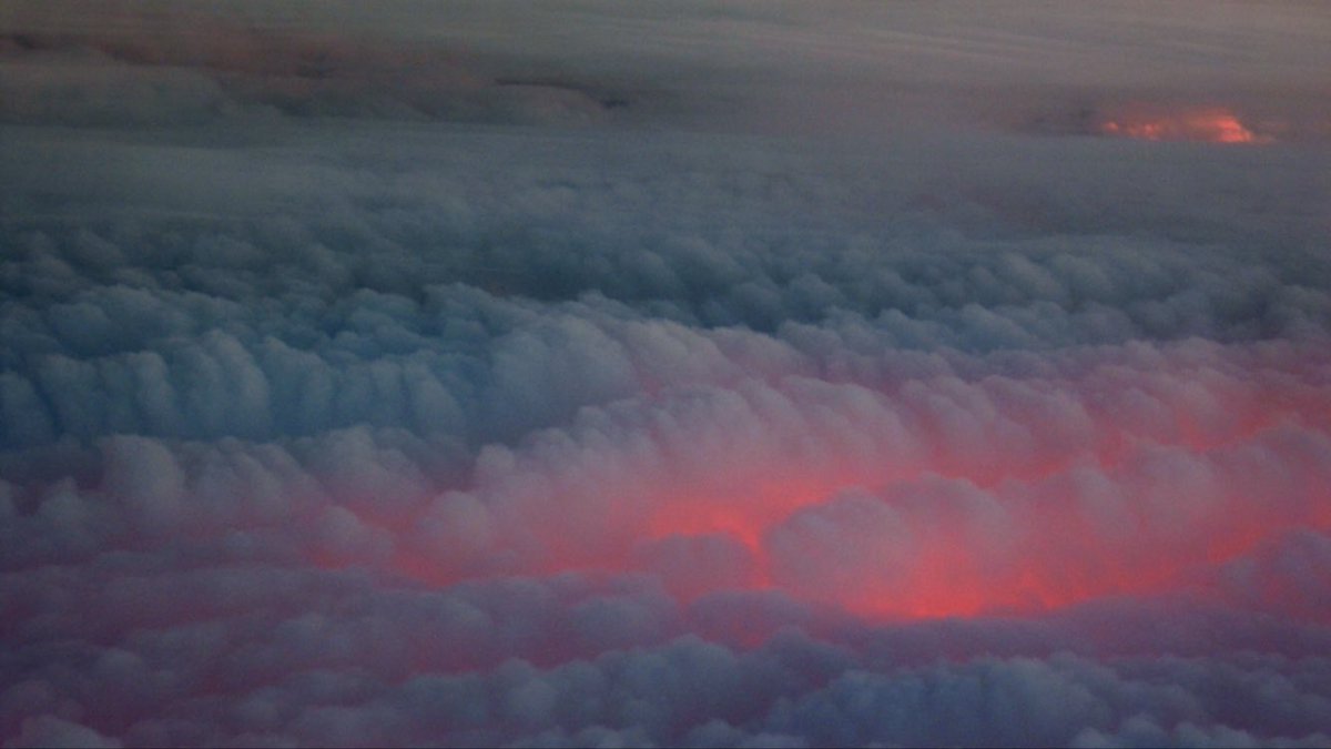 Pink_Trails tweet picture