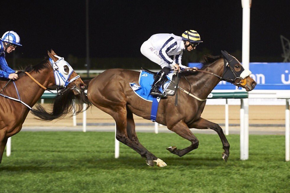 EquianoClub's tweet photo. #FINALVENTURE 5G Equiano x SharplawVenture (Polar Falcon) draws 4 in #ALQUOZ Sprint in Meydan for Paul Midgley https://t.co/7TBL9lr7hA