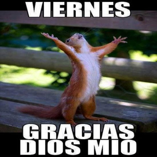 Aire_Acon's tweet photo. FOTO DEL DÍA https://t.co/WCP9UKgeXd