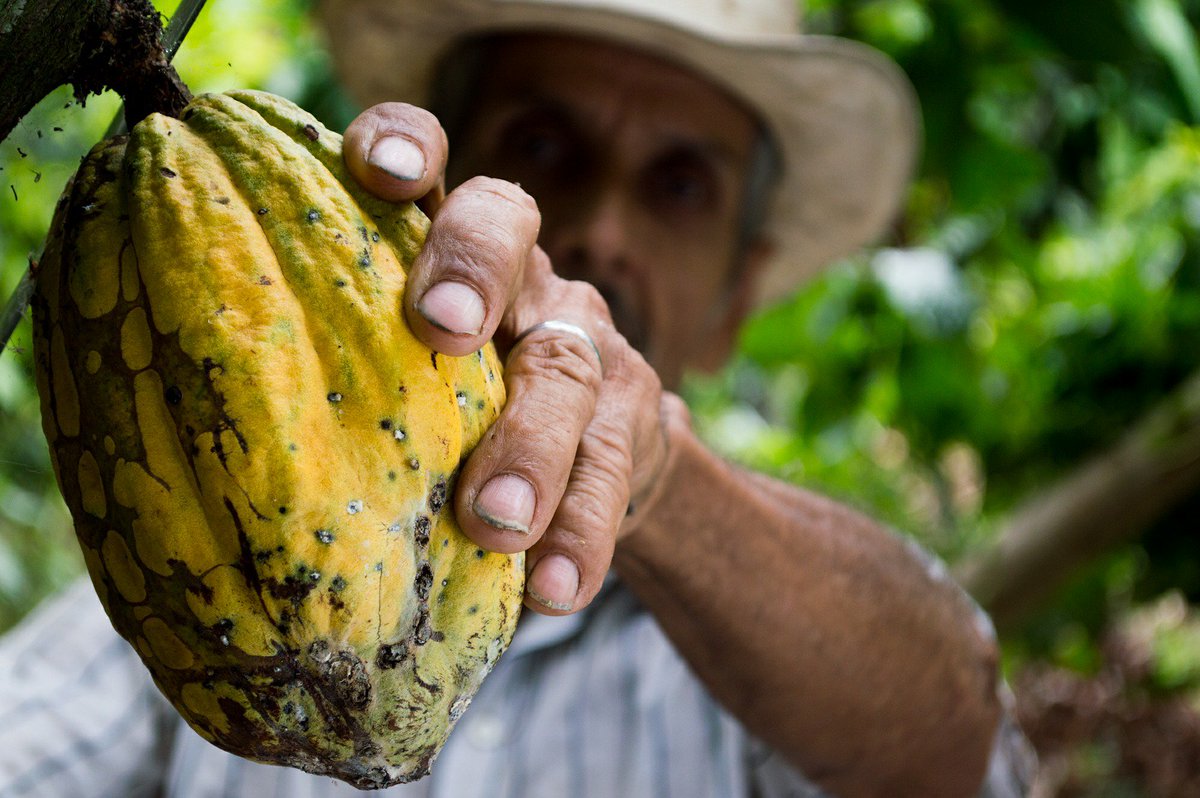 CASEatDuke's tweet photo. See how @pomonaimpact improves the lives of people in #LatinAmerica w/ #impinv: https://t.co/qMhWRIrZ5E #socent #businessforgood https://t.co/AjTEp45R6s