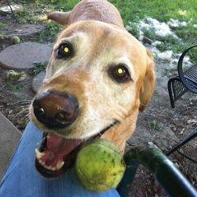 Brandon Fulk tweet media