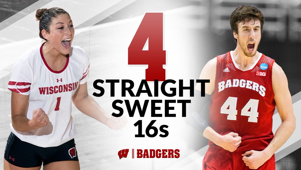 BadgerVB's tweet photo. Wisconsin is the ONLY school where volleyball and men's basketball have made the Sweet 16 the same four straight seasons! #BadgerPride https://t.co/3MarXx7rFc