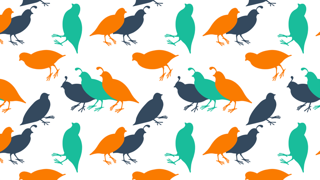 css's tweet image. Novapattern &quot;curates well-designed patterns&quot; :: novapattern.com