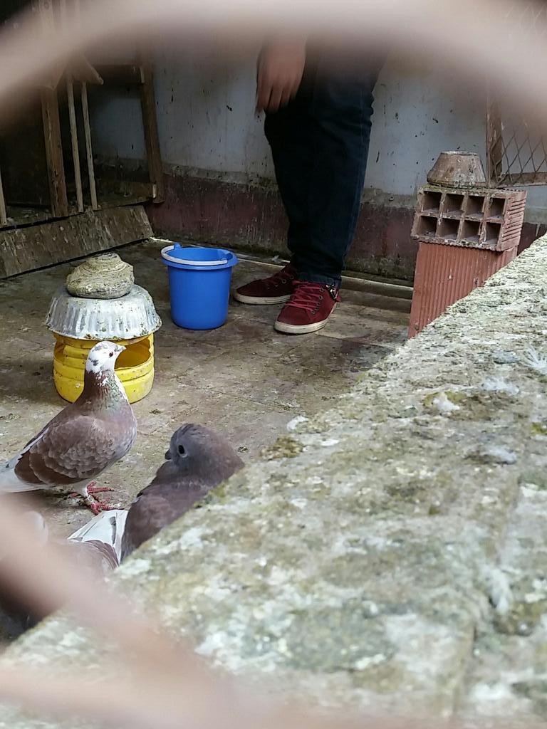 SamBn6's tweet image. 