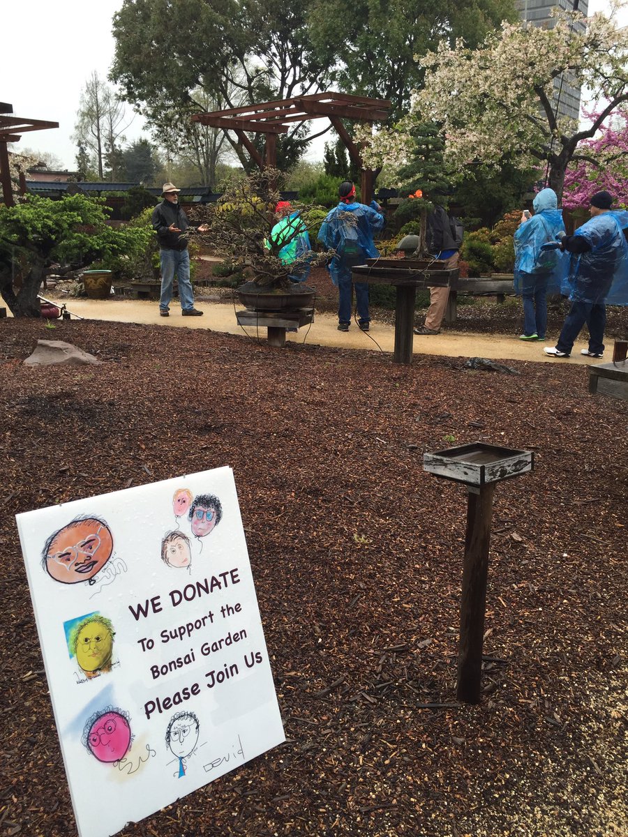 View Bonsai Garden Lake Merritt Pictures