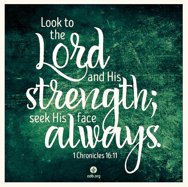 TropALDUB's tweet photo. A Blessed Weekend ADN😇 #ALDUBKSsaUS 🇺🇸
@ALDUBHashtagSQ
@yodabuda
@AlDubBigBoyz
@AIFam16
@imcr8d4u
@ALDUBNation
@ALDub_RTeam
@ALDUB_inARTeam https://t.co/RWG6hsxPpn