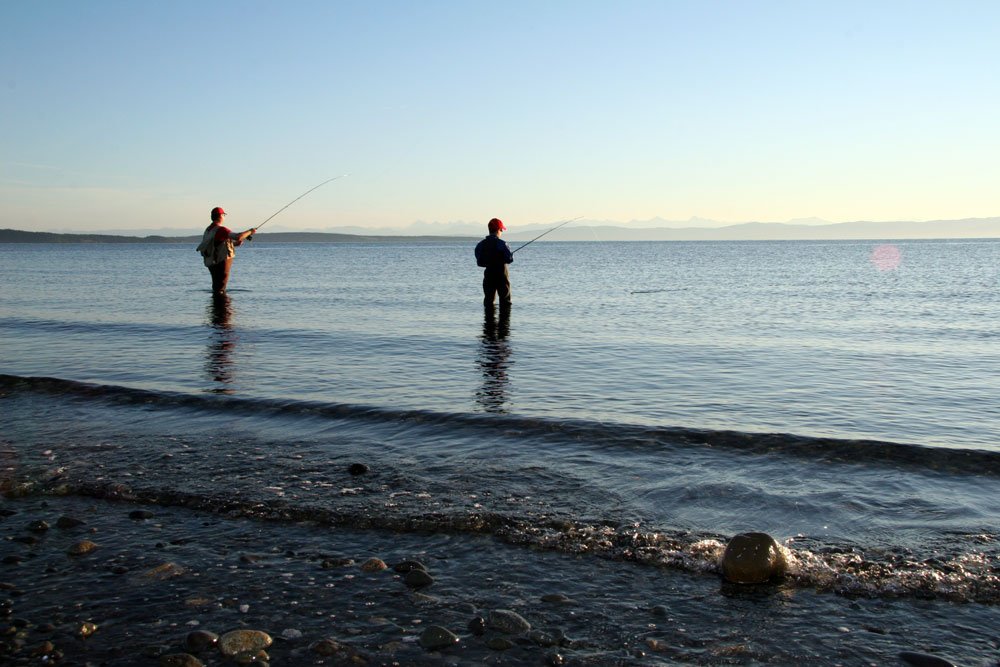 sportfishingbc's tweet photo. Get ready for #fishing season! 2017-18 BC sport fishing licences available online now https://t.co/WrBVNVZJb5 https://t.co/QorNC2XBB8
