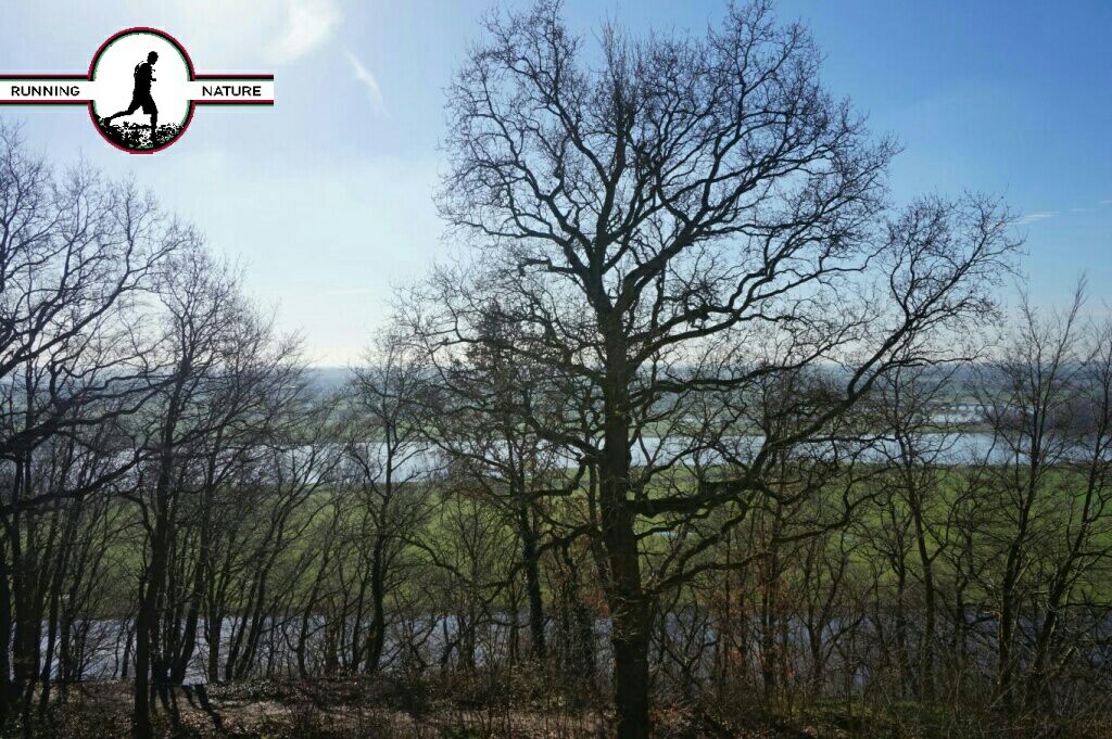 runnature tweet picture