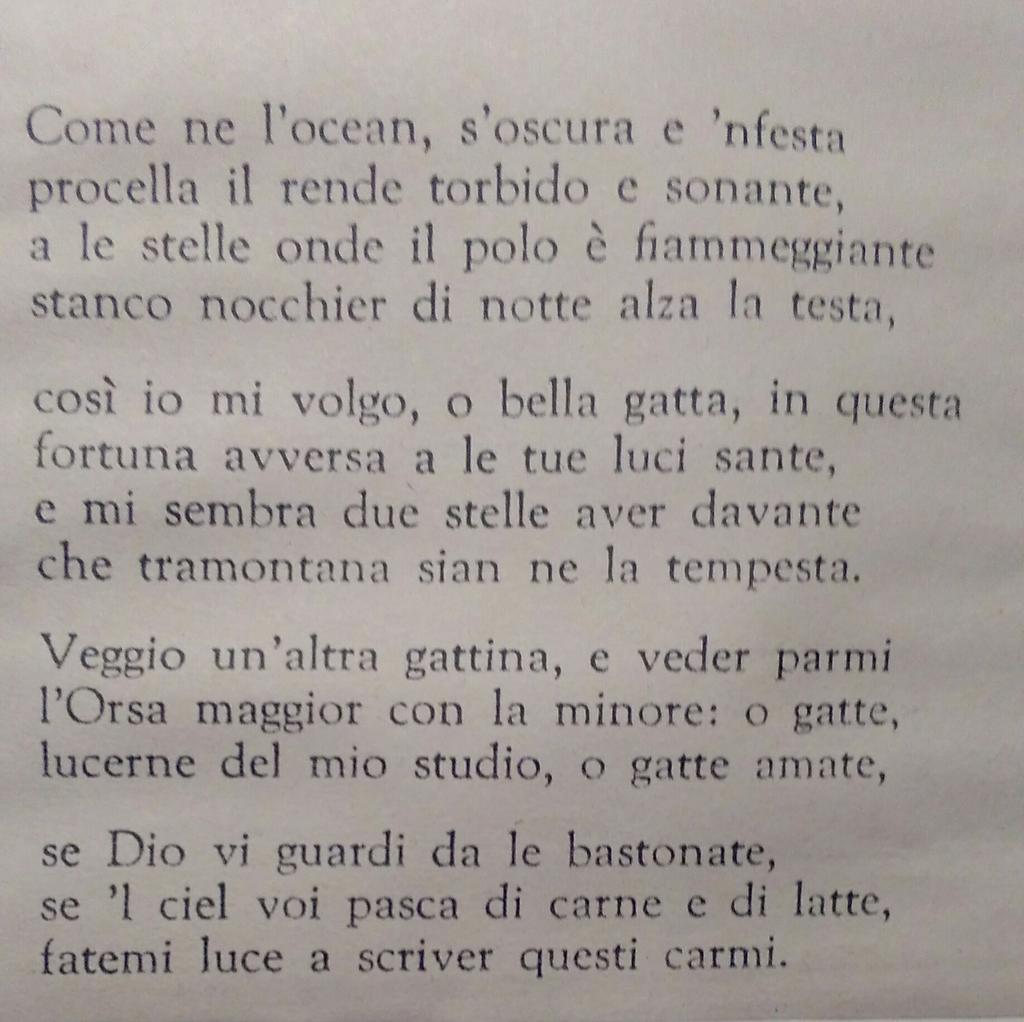 viaggioinincogn's tweet photo. Torquato Tasso alle gatte dell'ospedale San'Anna dov'era rinchiuso
Lucerne del mio studio, o gatte amate https://t.co/xXojTBPc1F