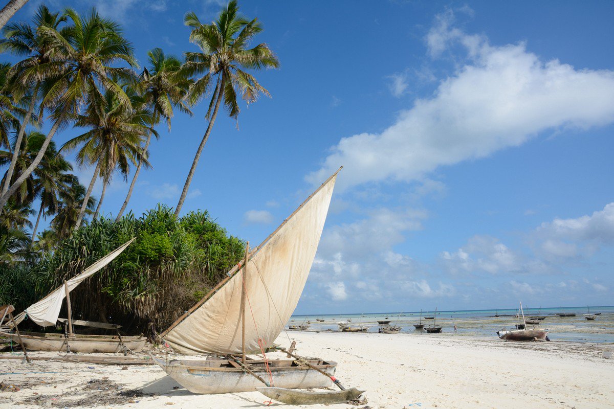 TheTravelCamel's tweet photo. Memories of the fishing village of Nungwi on the most northern point of #Zanzibar #TRLT https://t.co/ABd4n7DT3l