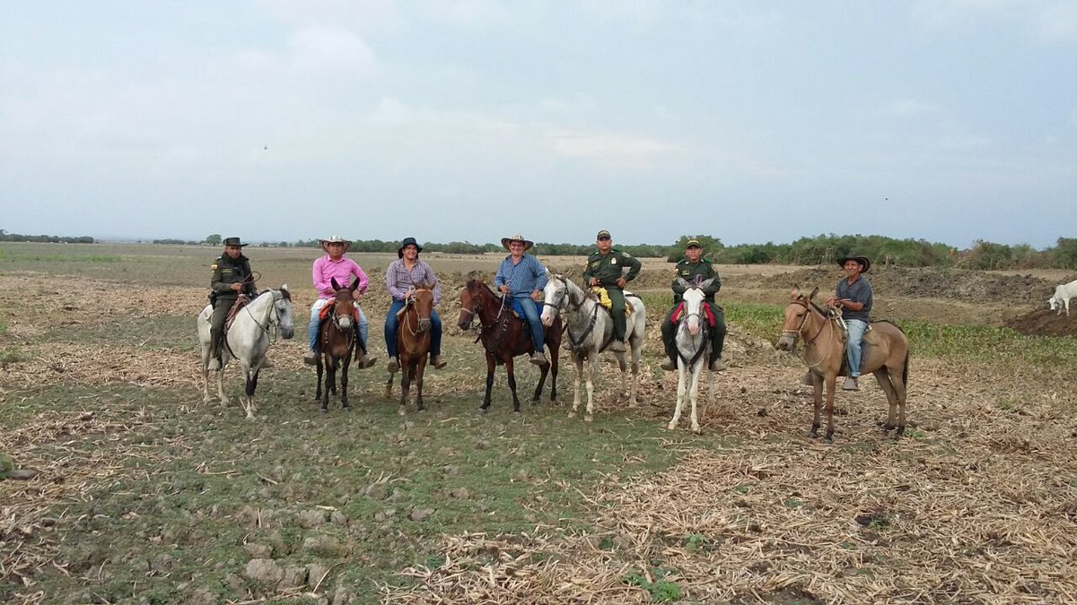 alcaldiachima's tweet photo. @PoliciaColombia @PoliciaDECOR #Echima Realizó Cabalgata Ecológica en la Ciénaga grande de Chimá, viendo problemática con CVS y Alcaldía. https://t.co/Hp1jWeJLqH