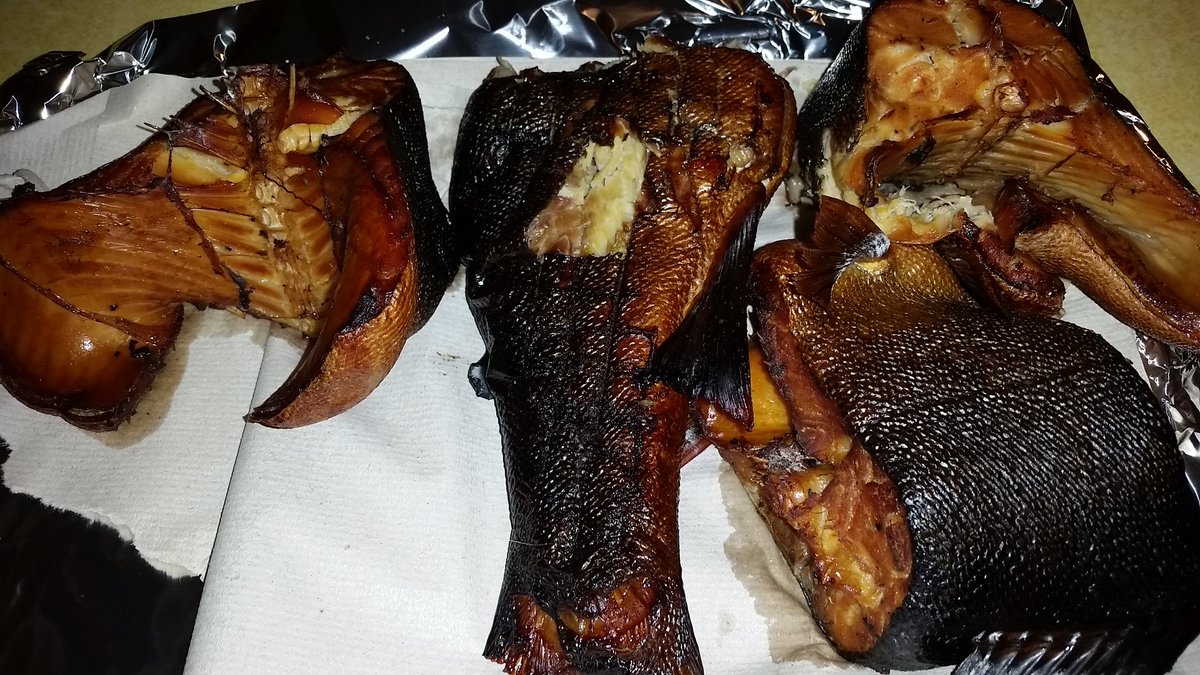 LifeatheDeadEnd's tweet image. Catch trout, smoke trout, eat #trout, repeat. #outdoors