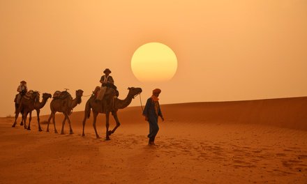 Promos_Nantes's tweet photo. GSN Voyages à Marrakech : Mer, désert, montagne : choix d'excursions au Maroc: #MARRAKECH En promo à 21.00€ En… https://t.co/MNvqZyOhZA https://t.co/LKggtfxx5h