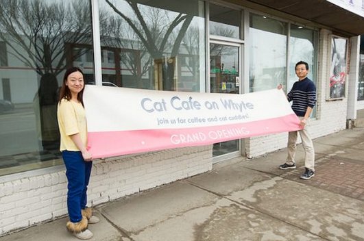 thestaredmonton's tweet photo. Attention cat lovers: A permanent cat café is on its way to Edmonton https://t.co/9dM3WpNyxU #yeg https://t.co/tIu7jzCxKK