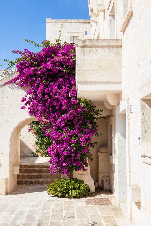 The rustic Italian region you need to know about: traveller.uk/S6ArgH