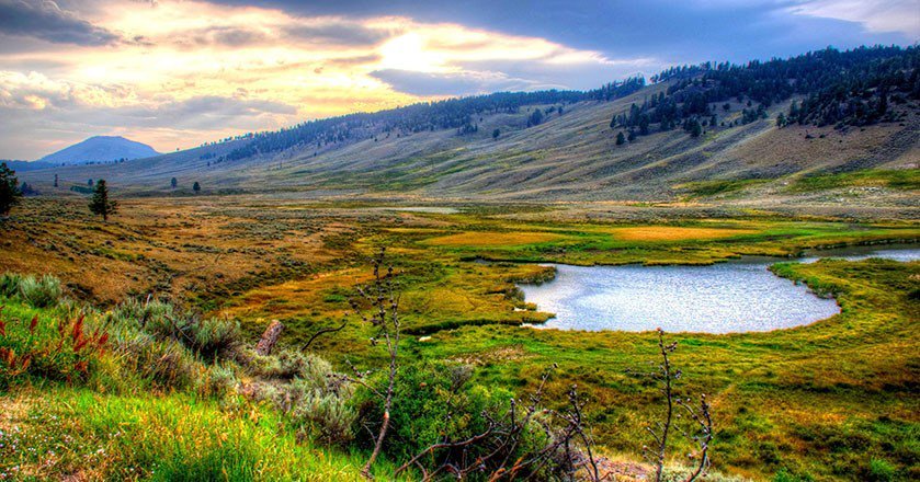 #FunFactFriday Hunter Theodore Roosevelt created our national forests &amp; grasslands &amp; protected 230 million acres for wildlife &amp; public use.