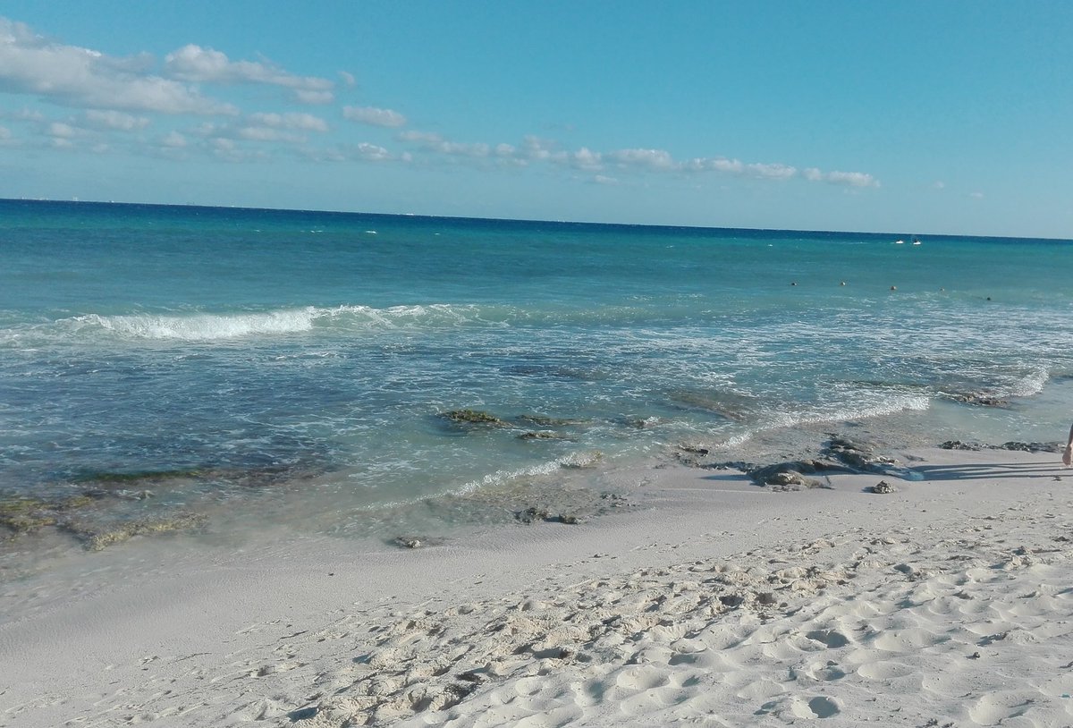 SerPlayaNews's tweet photo. Buen día #PlayaDelCarmen #Cozumel #Chetumal que sigan #ViviendoConEstilo #FelizViernes #BuenosDías #Weekend #SerPlayaMagazine https://t.co/h9UfdgfKk5