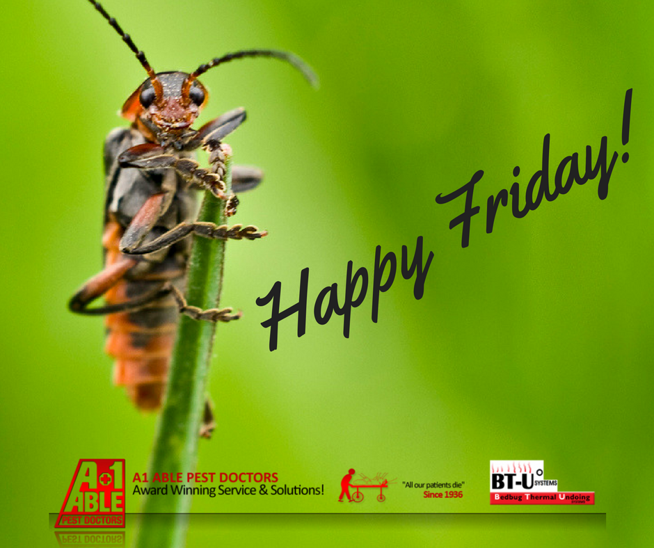a1ablepestdoc's tweet image. Who&apos;s ready for green grass, blooming tree&apos;s &amp;amp; flowers, and warm weather?! #TGIF #Springtime #Springpestprevention