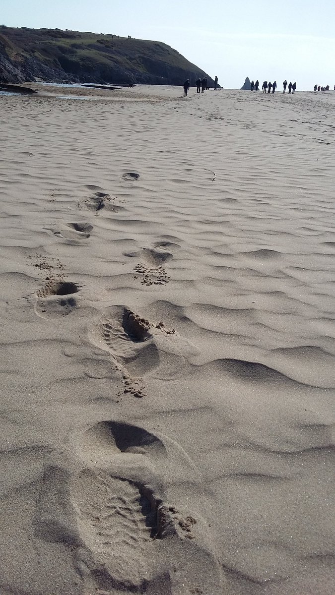 stackpole2017's tweet image. Not a bad way to spend our last day in Stackpole, all together for a lovely walk to Broadhaven! Awesome views all around