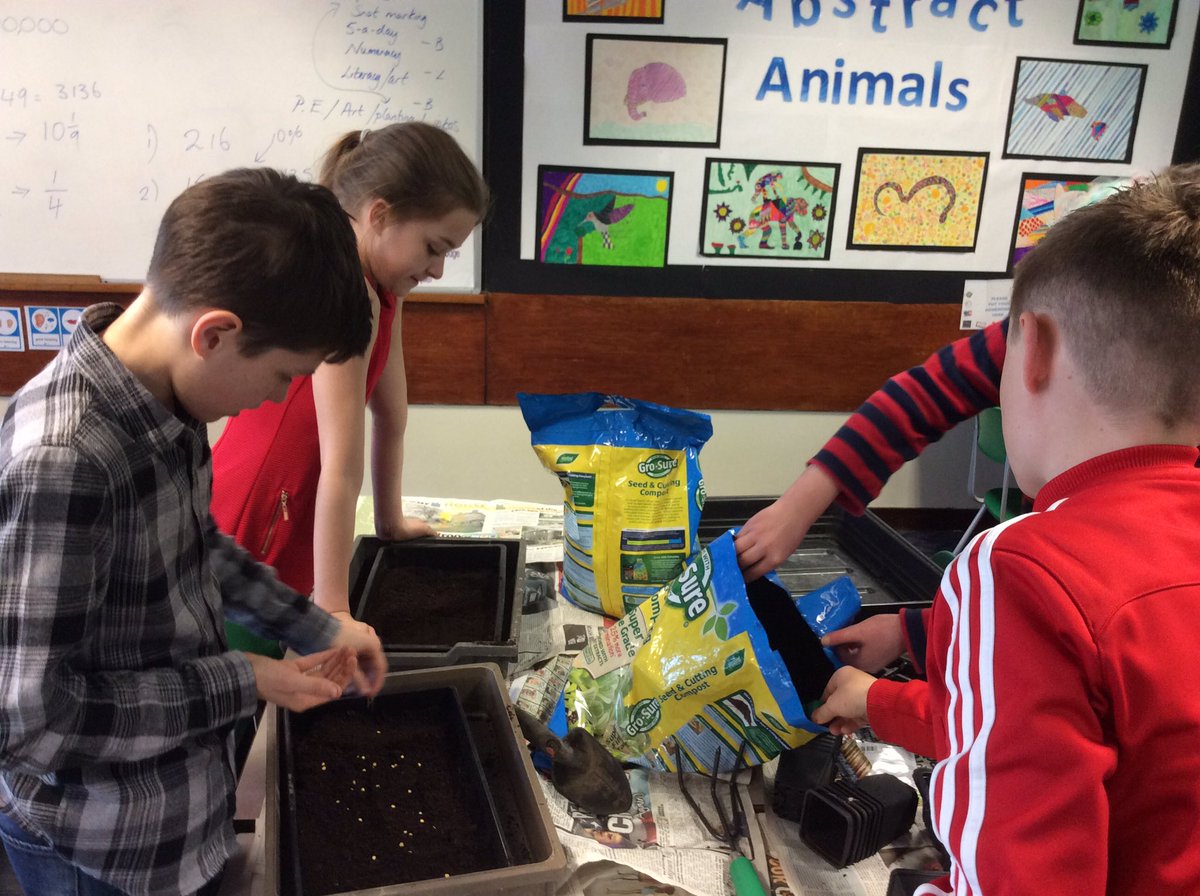 WooldaleJ6C's tweet photo. @WooldaleJClass2 loving our planting today. Can't wait to see have they grow! https://t.co/oZsk3LWmPT