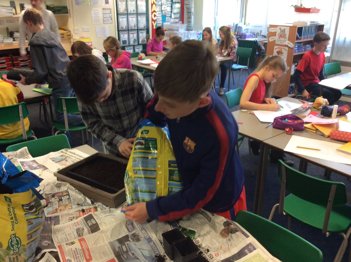 WooldaleJ6C's tweet photo. @WooldaleJClass2 loving our planting today. Can't wait to see have they grow! https://t.co/oZsk3LWmPT