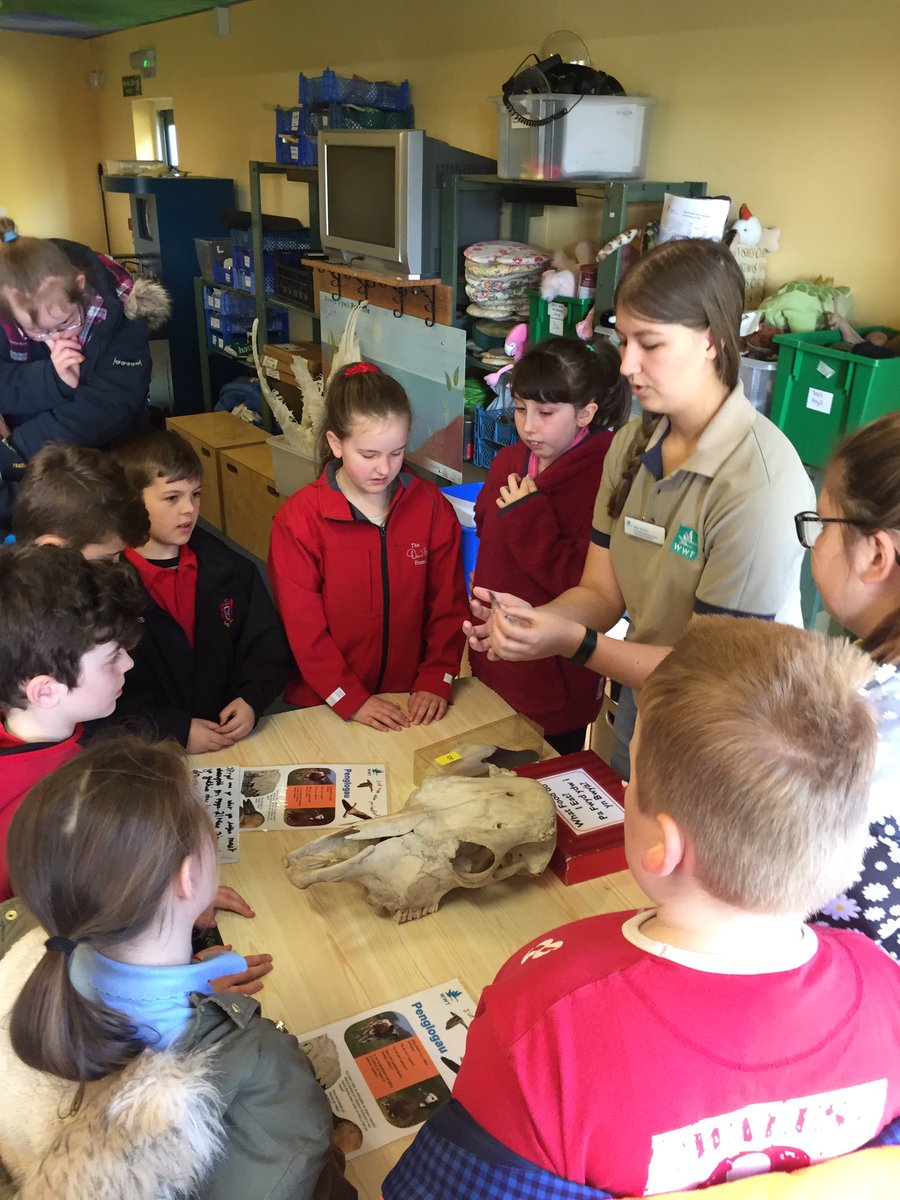 Blwyddyn 5 wedi mwynhau ym Mhenclacwydd heddiw!