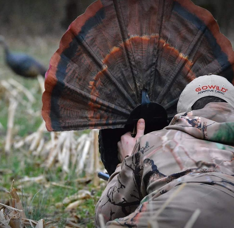 GO Wild Camo tweet media