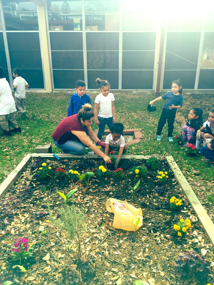 NorthlineES's tweet image. Our Kindergartners taking action in the PYP! #ibworldschool #hisd #amazingchanges