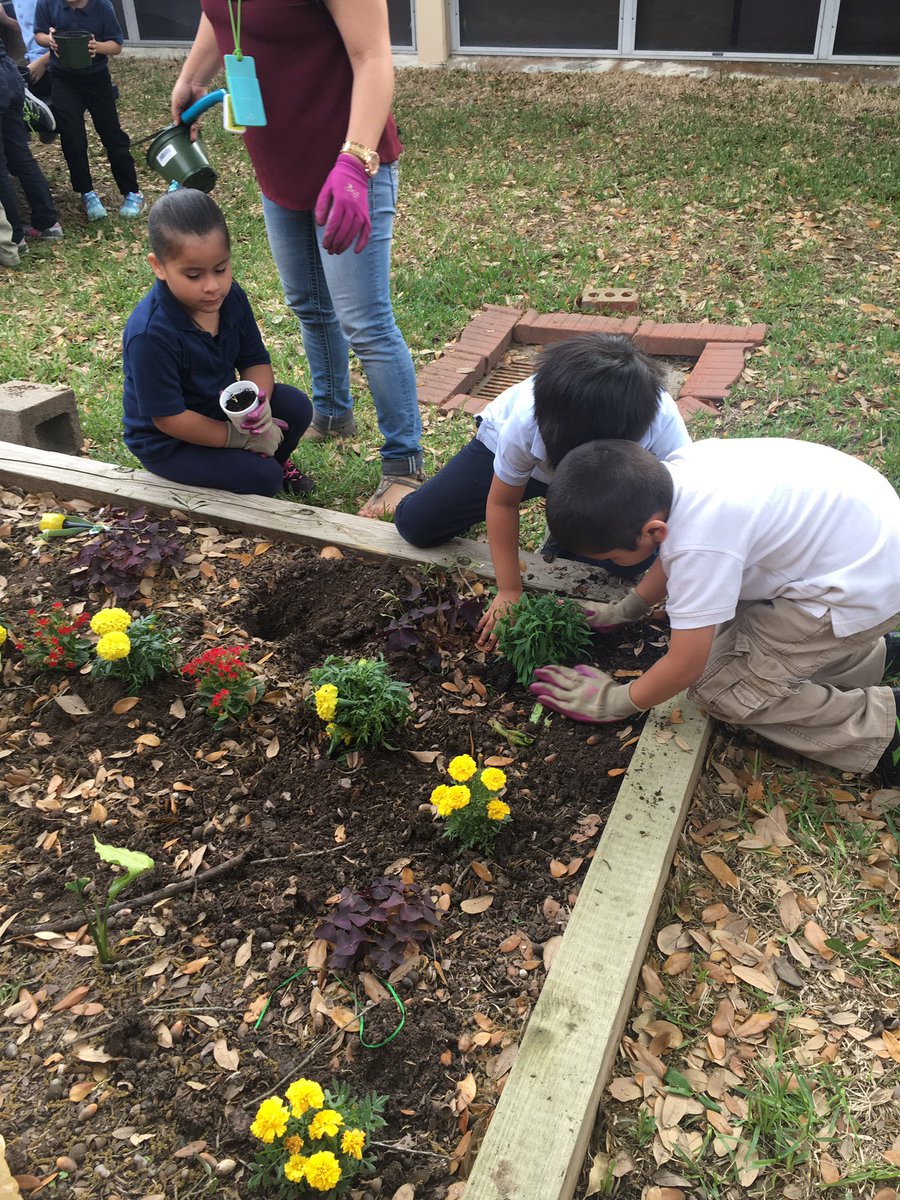 NorthlineES's tweet image. Our Kindergartners taking action in the PYP! #ibworldschool #hisd #amazingchanges