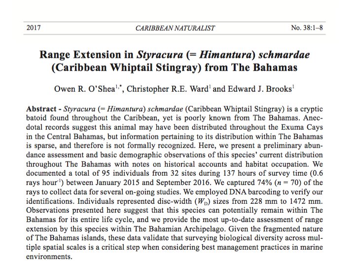 Caribbean Whiptail Stingray officially recognized as an inhabitant of The Bahamas - article by Dr. Owen O'shea and team released next week
