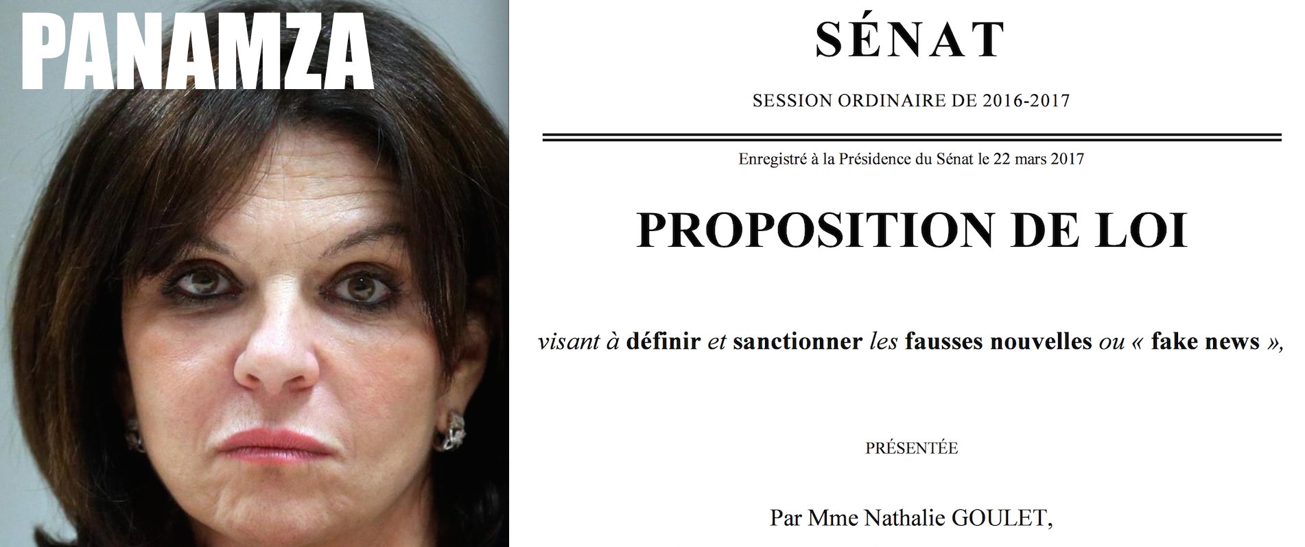 Proche d'un lobby israélo-américain, la sénatrice Nathalie Goulet veut sanctionner pénalement les auteurs de «fausses nouvelles»