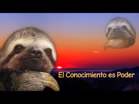 gilpepito's tweet photo. @monIafertemx wow. https://t.co/K7X61NBtMl
