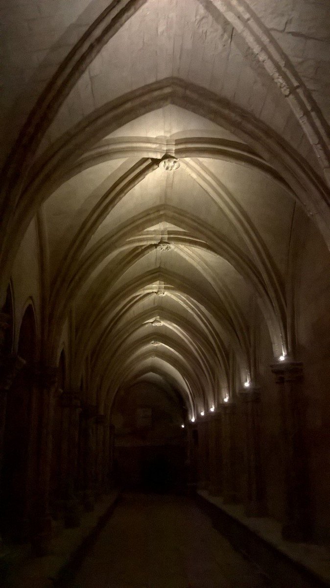 France_UNESCO's tweet photo. Découverte du cloître Saint-Trophime restauré, inscrit au #patrimoinemondial #UNESCO au titre des monum. romains et romans d'#Arles #ABFPM https://t.co/xgKPl5KUxo