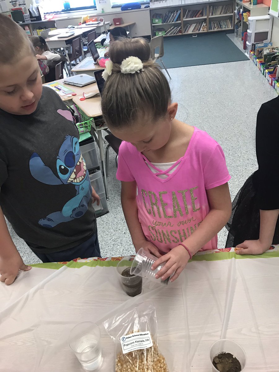 MsMorrell1's tweet photo. Planting seeds today for our science experiment. #beeanengineer https://t.co/1Gdz0P0Lsk