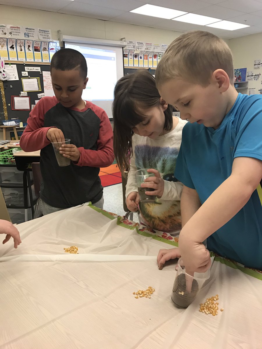 MsMorrell1's tweet photo. Planting seeds today for our science experiment. #beeanengineer https://t.co/1Gdz0P0Lsk