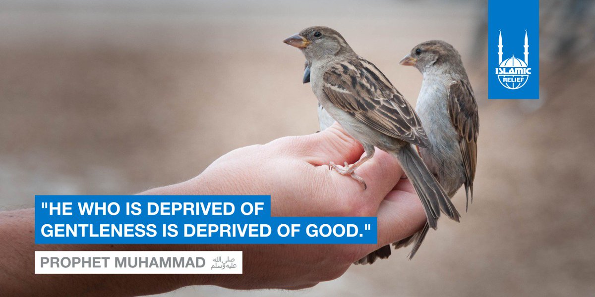 'He who is deprived of gentleness is deprived of good.' - Prophet Muhammad ﷺ

#JummahMubarak #JummahInspiration