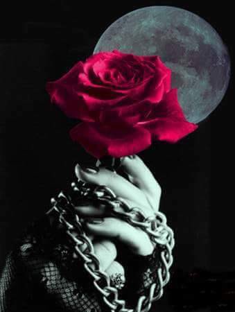 C7sTXHfXkAAklTs.jpg:large