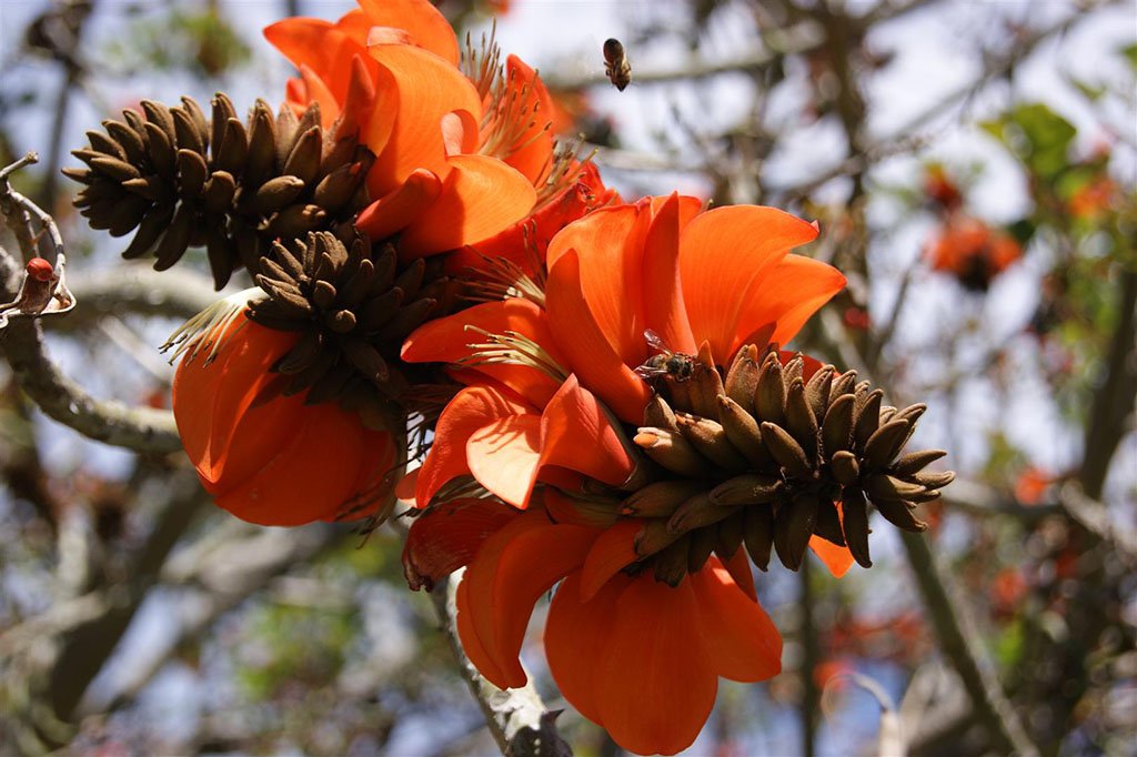 ¡La primavera llena de color nuestro campo! ow.ly/vEXl30adknb #golf #Benahavís