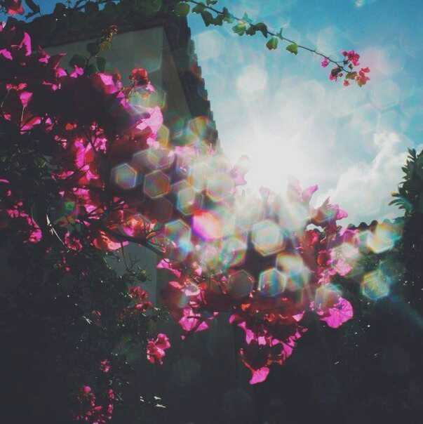 izbrannoye's tweet image. Достаточно всего одного человека, чтобы всё расцвело. Расцвело там, где никогда не было света.