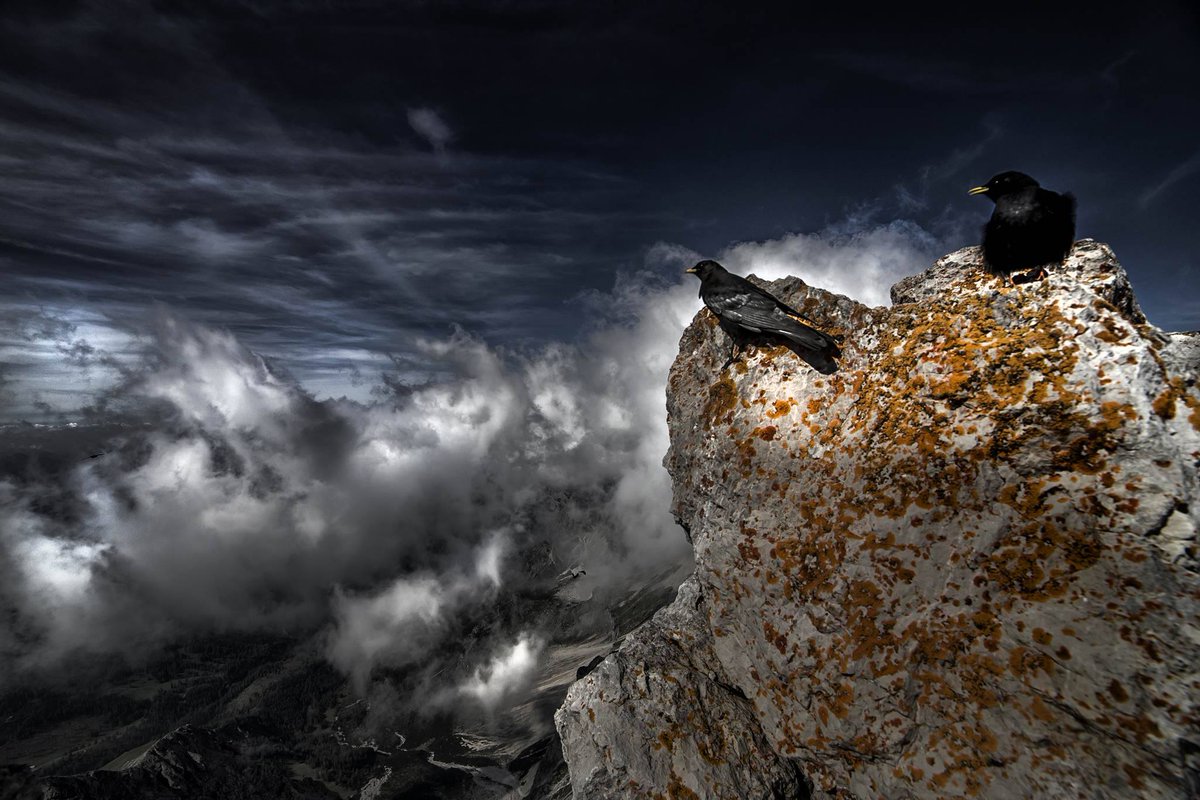 Morecast_DACH's tweet photo. Mystisches Foto vom #DachsteinGletscher #Österreich

(c) Tóth Zoli https://t.co/ip0Go3Wyyb