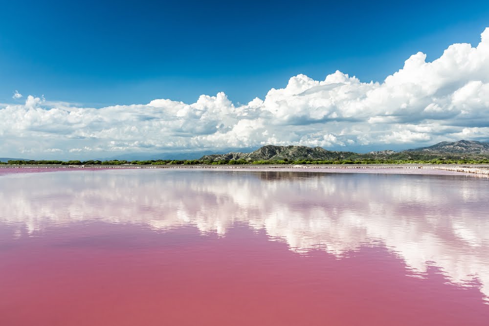 vectatravel's tweet photo. Like out of a fairytale..lake Retba, Senegal
#lakeretba #SENEGAL #travel #Wanderlust #vectatravel #luxurytravel #FairyTail #LetsGoPlaces https://t.co/ZaRaGsgX6X