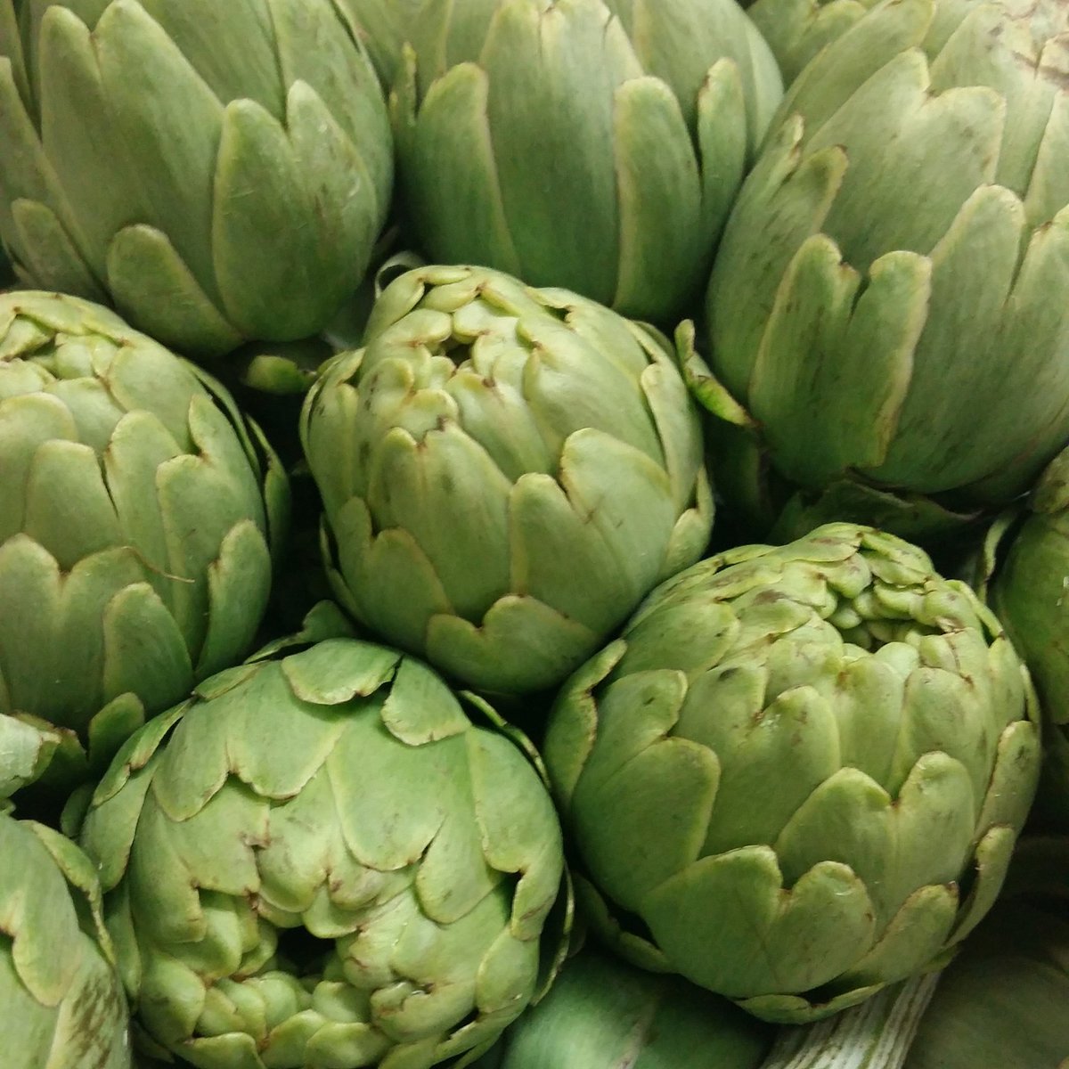 Ya tenemos las Alcachofas de la huerta de Aranjuez. ¿ Te apetece ? Ven a El Rana Verde este fin de semana y que disfrute tu paladar.