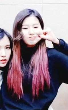 sana_scv's tweet photo. 우리 대형견니뮤ㅠㅠㅠ https://t.co/v1FxZdJjEZ